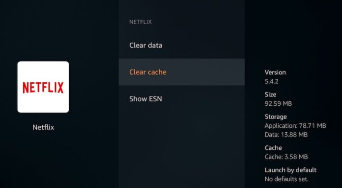 Fix Netflix Error TVQPB101 on Fire Stick, Samsung, Vizio