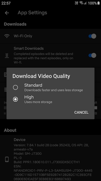Adjust Video Quality of Downloaded Movies and TV Shows on Netflix App