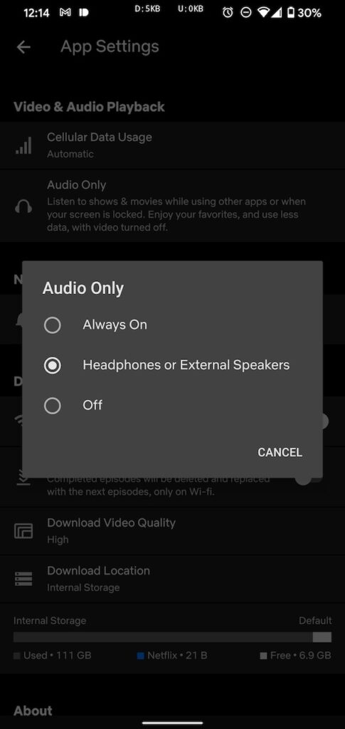 Using-the-Audio-Only-Mode-on-Netflix-Android-App
