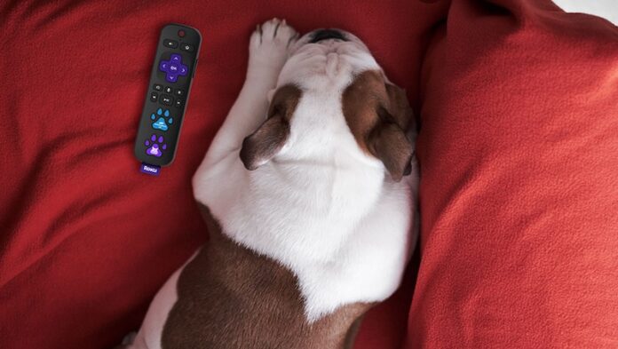 Get-the-New-Roku-Voice-Remote-Pro-with-Built-in-Rechargeable-Battery
