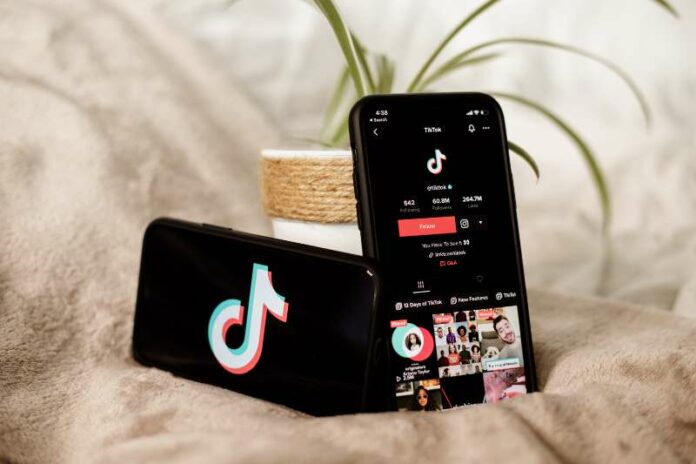 Give Credit for TikTok Videos Using Creator Crediting Tools