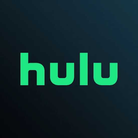 Resolve-Hulu-Error-Code-95